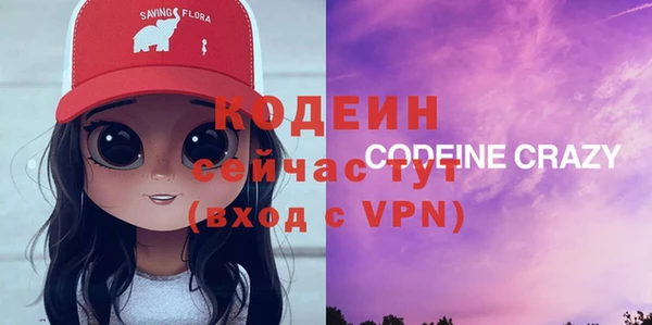 шишки Магас
