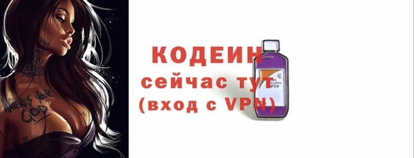 шишки Магас