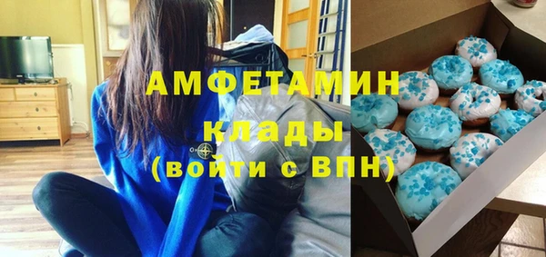 шишки Магас