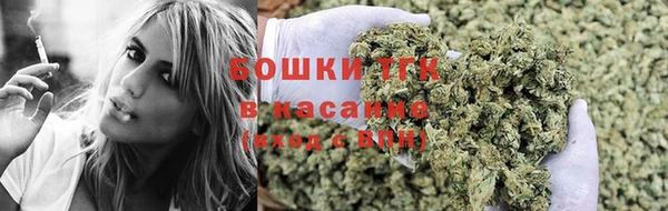 ECSTASY Медногорск
