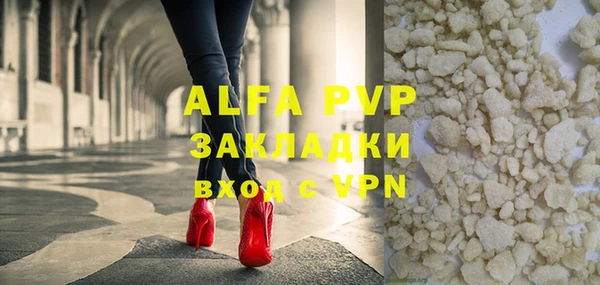 шишки Магас