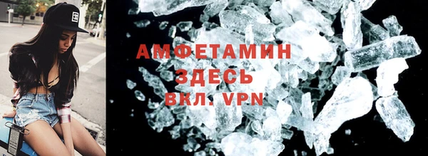 шишки Магас
