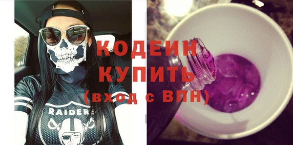 шишки Магас
