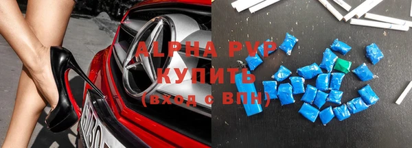 шишки Магас