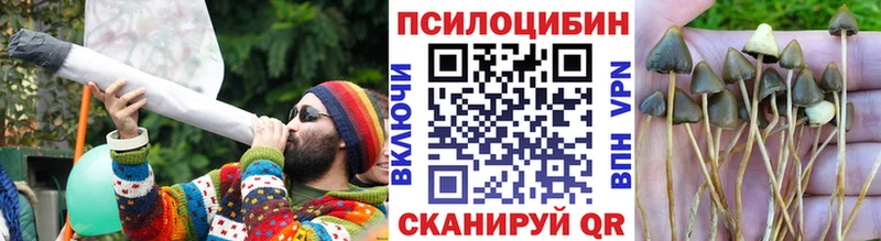 хочу Талдом Галлюциногенные грибы Cubensis